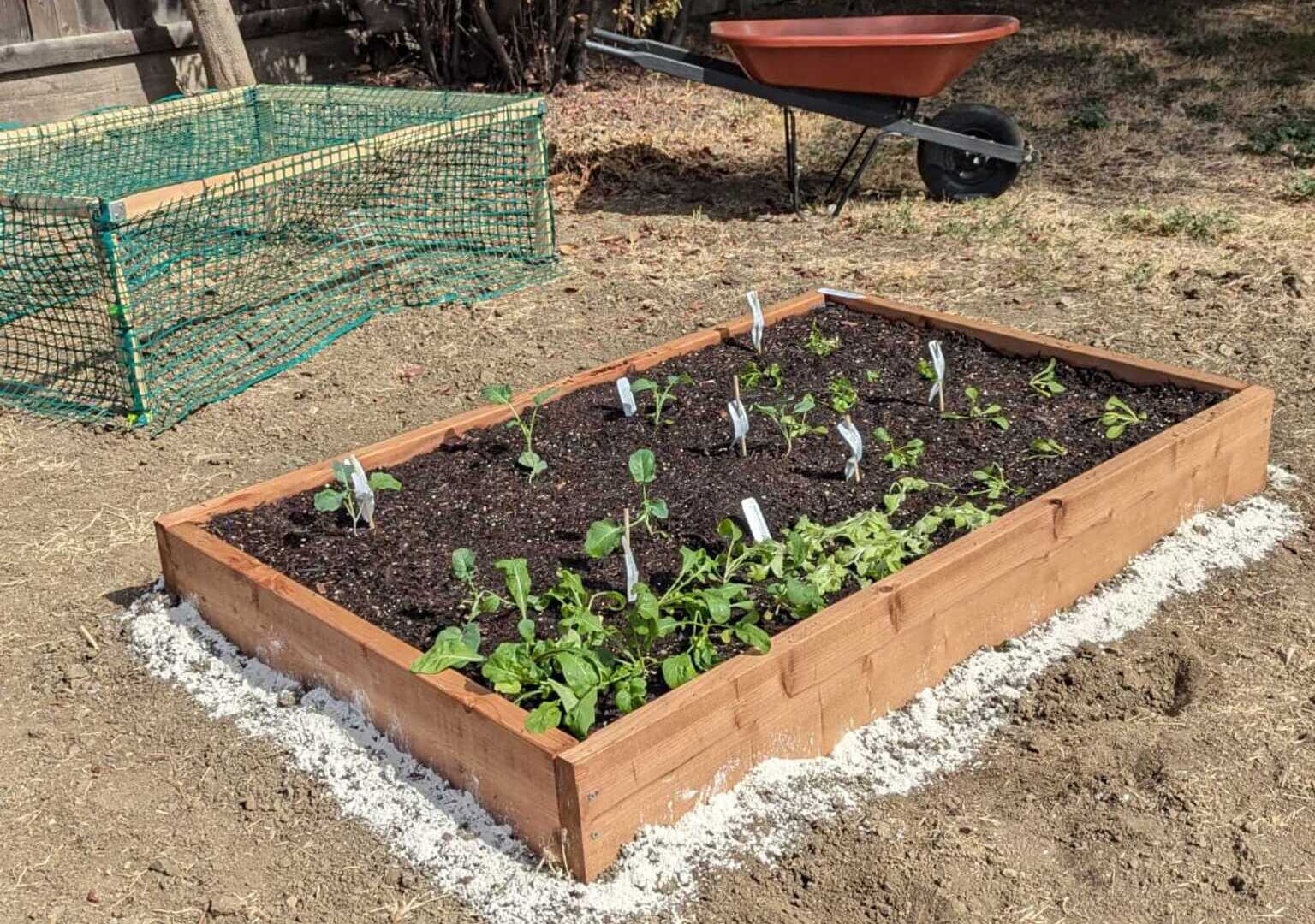 Kitchen Garden Design